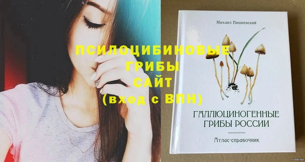 ешки Алзамай