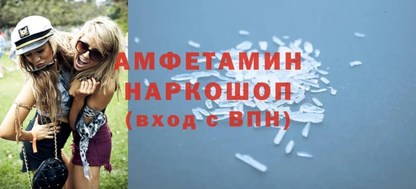 хмурый Алексин