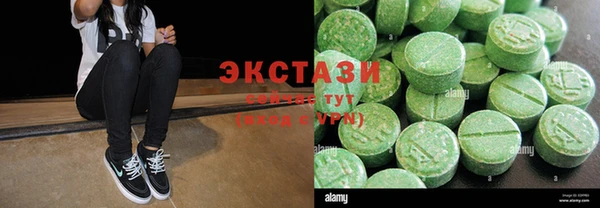хмурый Алексин