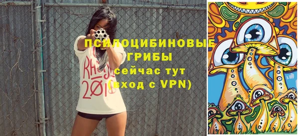ешки Алзамай