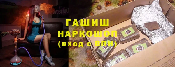 хмурый Алексин