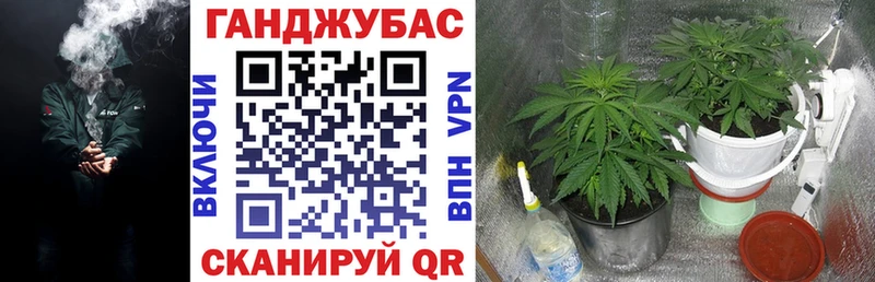 купить   Камбарка  Канабис THC 21% 